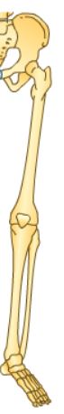 thumnail image